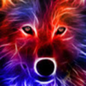 Meet your Posher, Myles